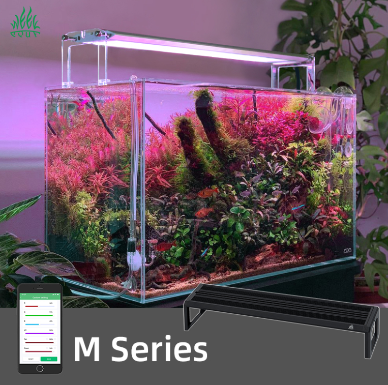 Plant Parent App - WEEK AQUA M Series 400mm Aquarium