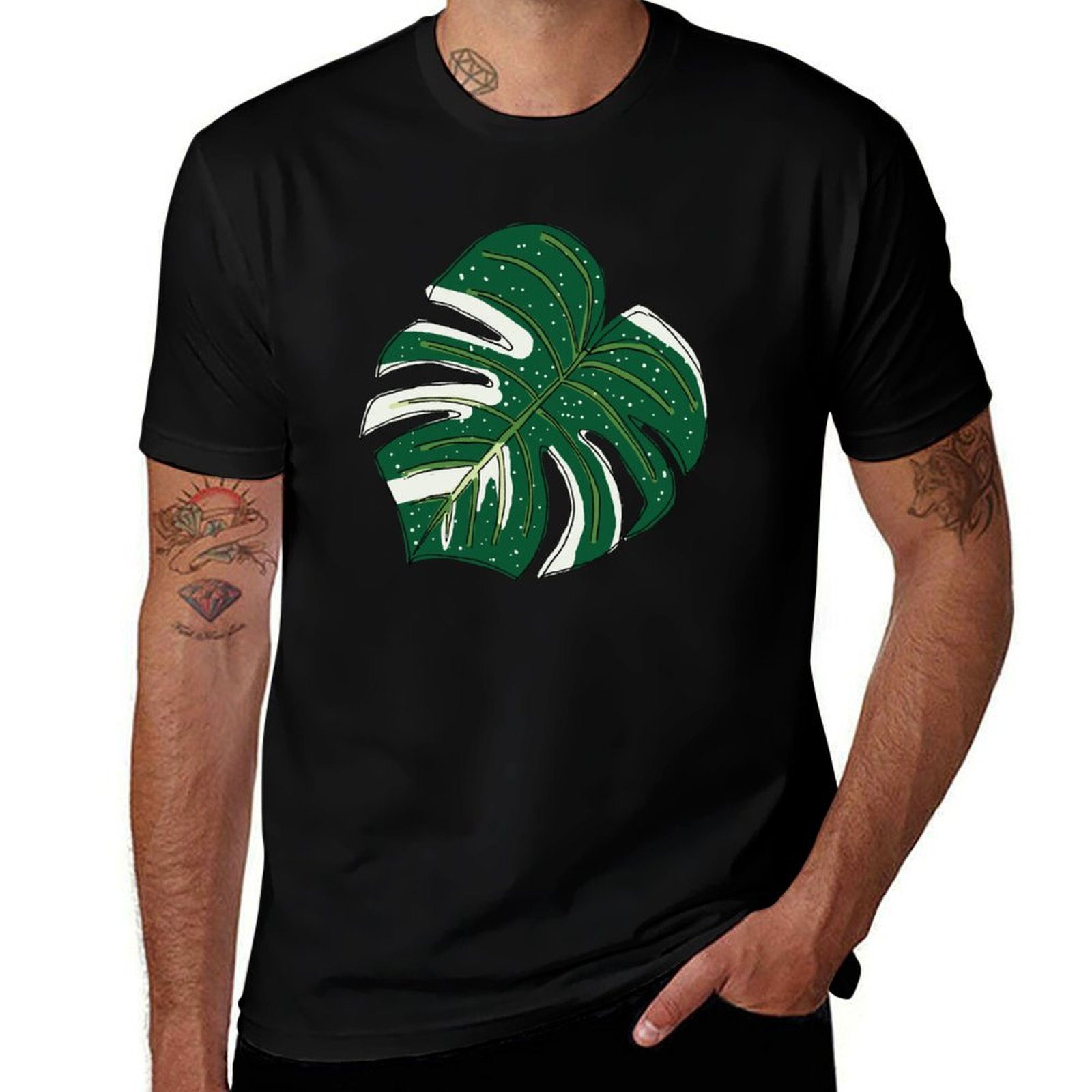 Monstera Thai Constellation T- - đánh giá và giá Monstera Thai Constellation