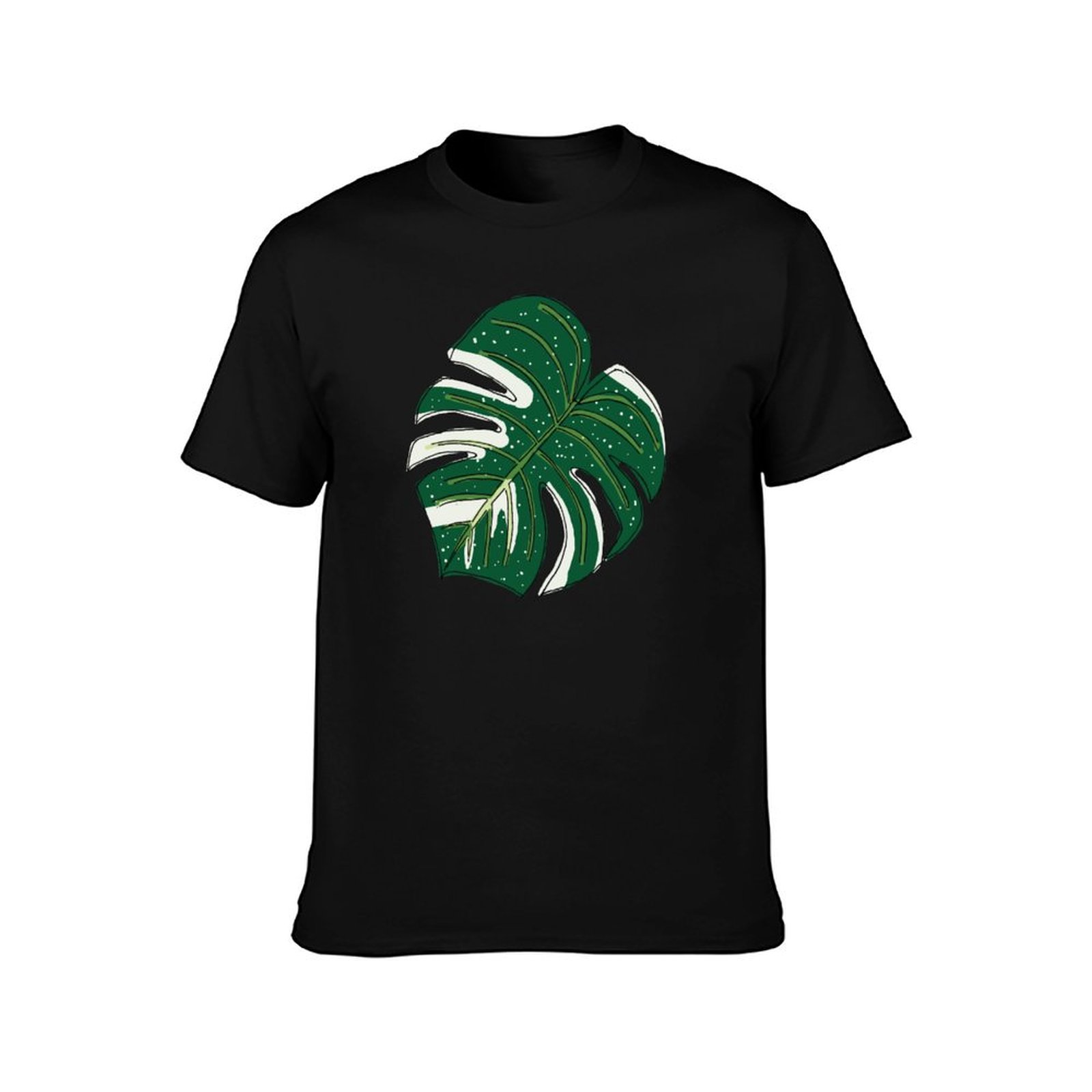 Monstera Thai Constellation T- - đánh giá và giá Monstera Thai Constellation