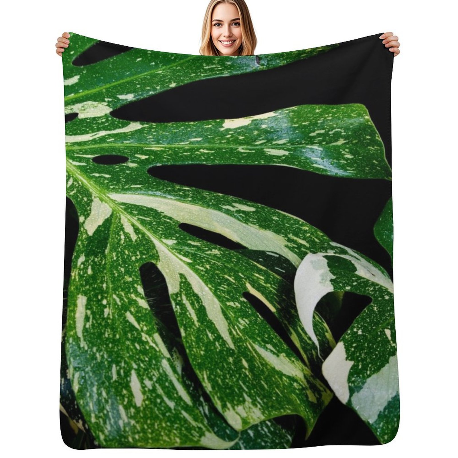 Monstera Thai Constellation Th - đánh giá và giá Monstera Thai Constellation