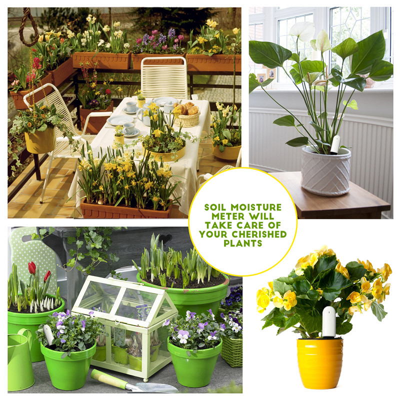 HHCC Flower Care Max Smart Pla - đánh giá và giá Plant Parent App