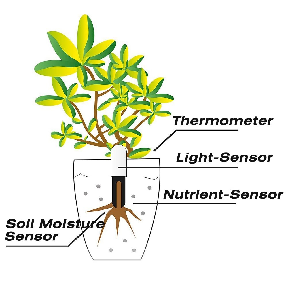 HHCC Flower Care Max Smart Pla - đánh giá và giá Plant Parent App
