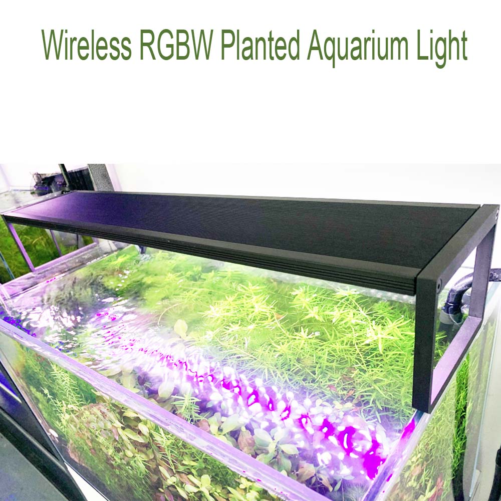 MICMOL Extreme II Series E-450 - đánh giá và giá Plant Parent App