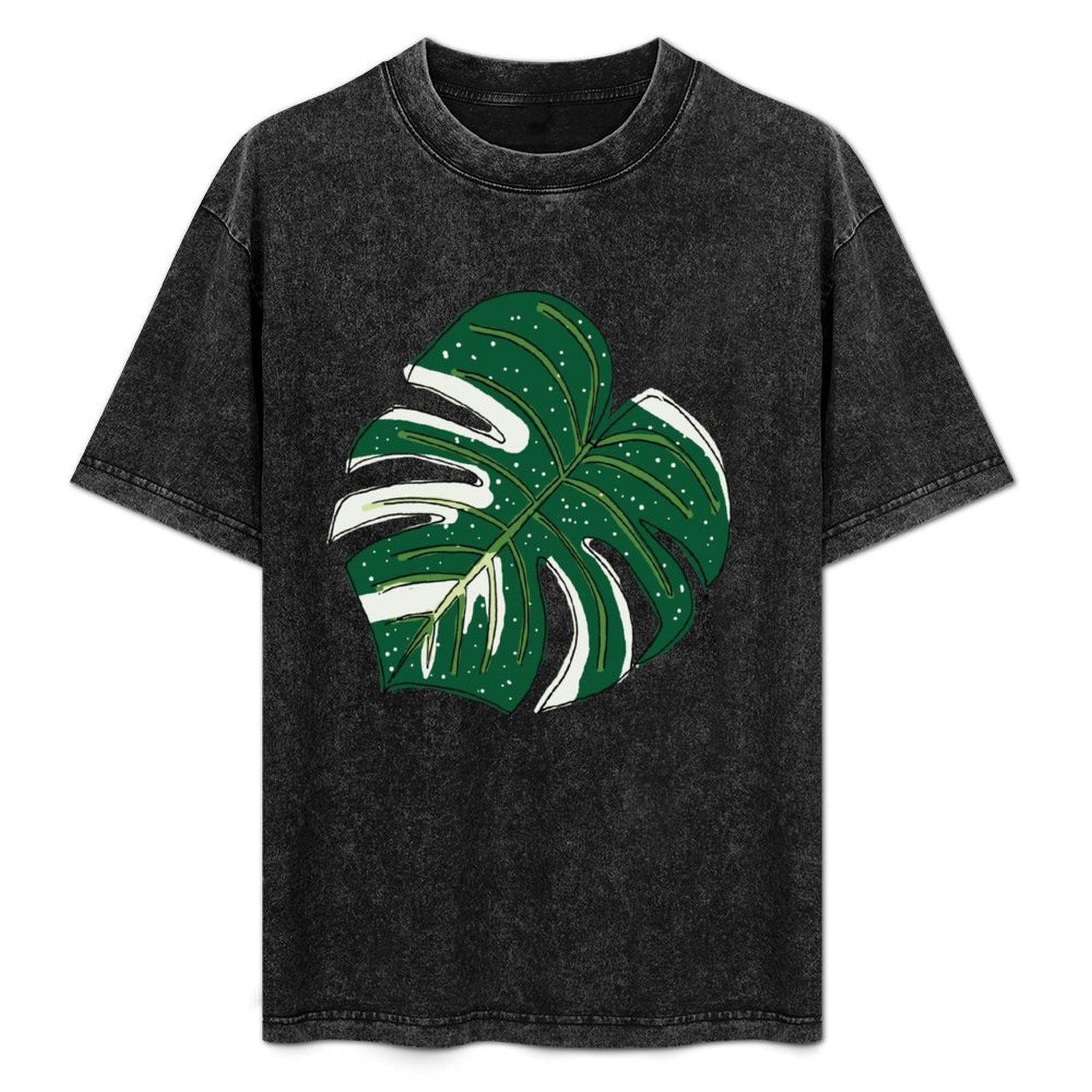 Monstera Thai Constellation T- - đánh giá và giá Monstera Thai Constellation