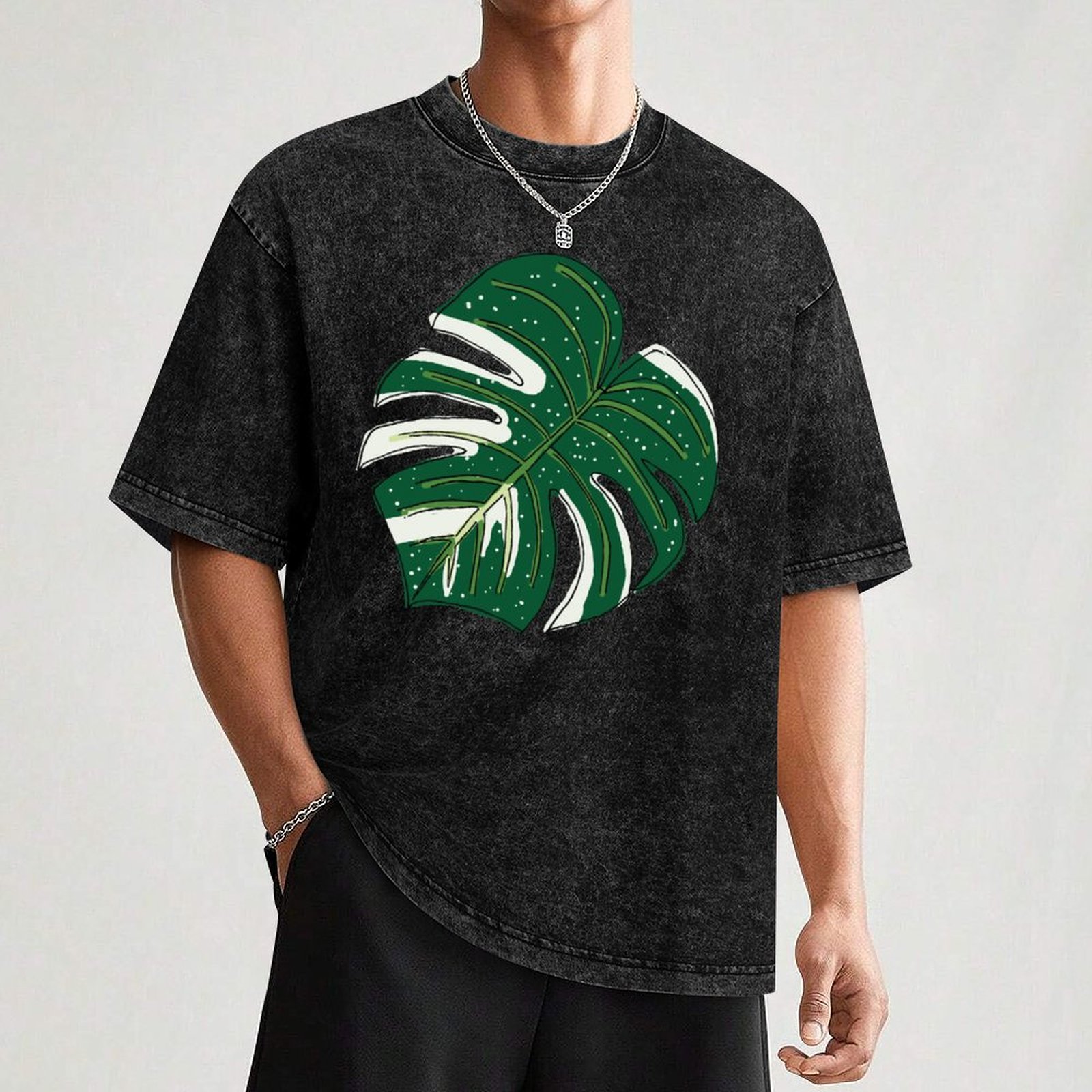 Monstera Thai Constellation T- - đánh giá và giá Monstera Thai Constellation