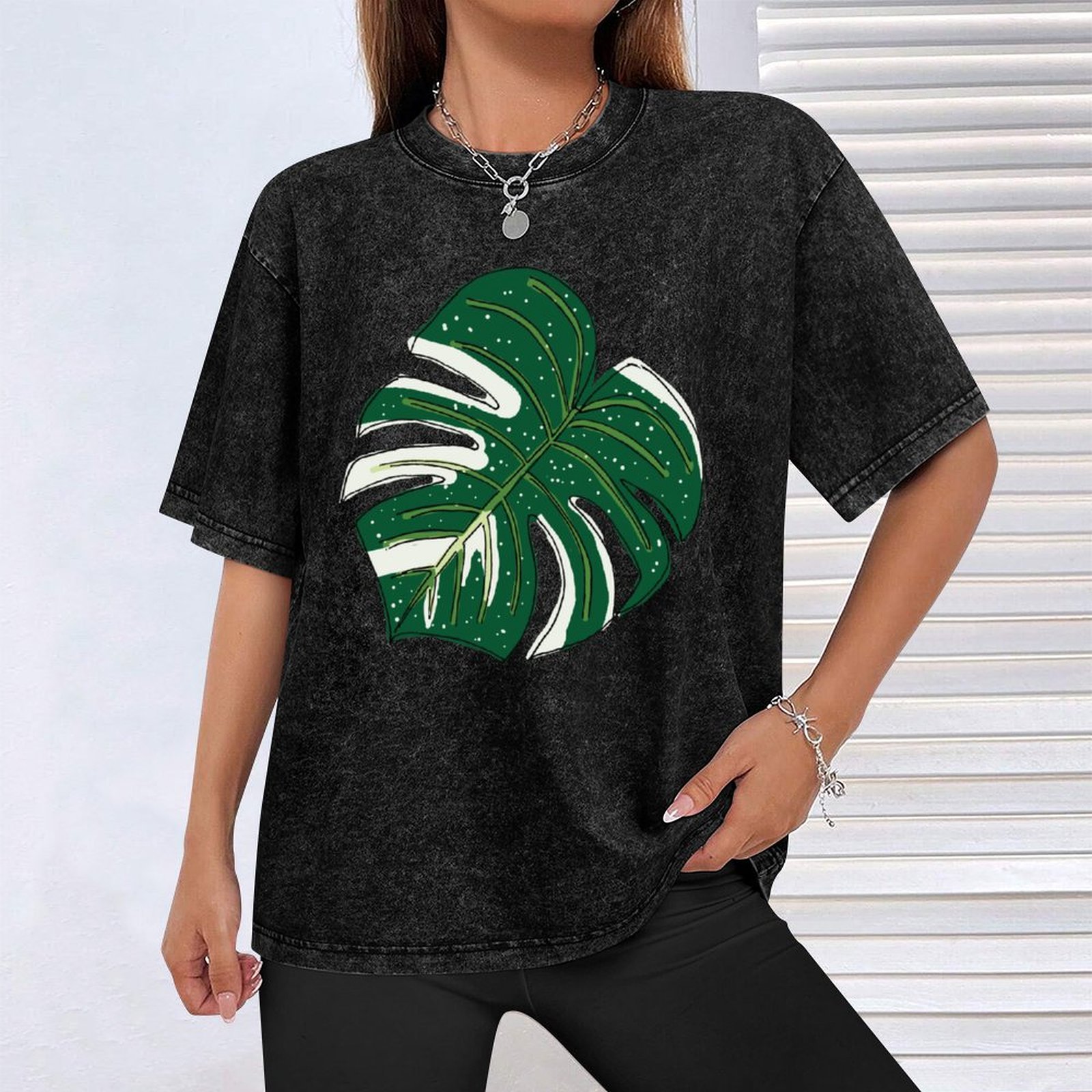 Monstera Thai Constellation T- - đánh giá và giá Monstera Thai Constellation
