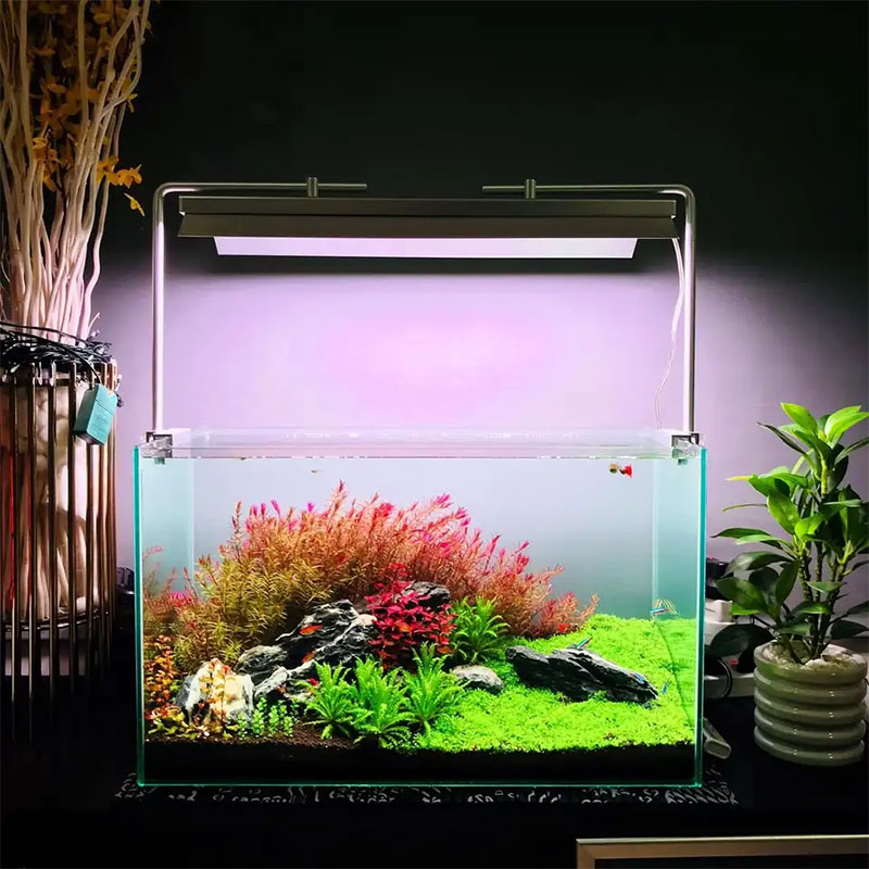 WEEK AQUA L Series,  Aquarium  - đánh giá và giá Plant Parent App
