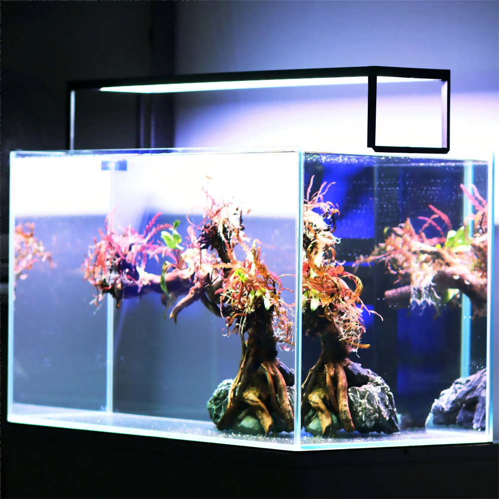 LED Aquarium light MICMOL Extr - đánh giá và giá Plant Parent App