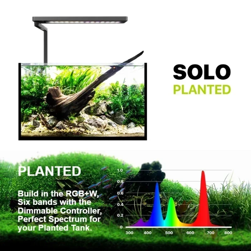 Micmol SOLO APP Controlled Blu - đánh giá và giá Plant Parent App