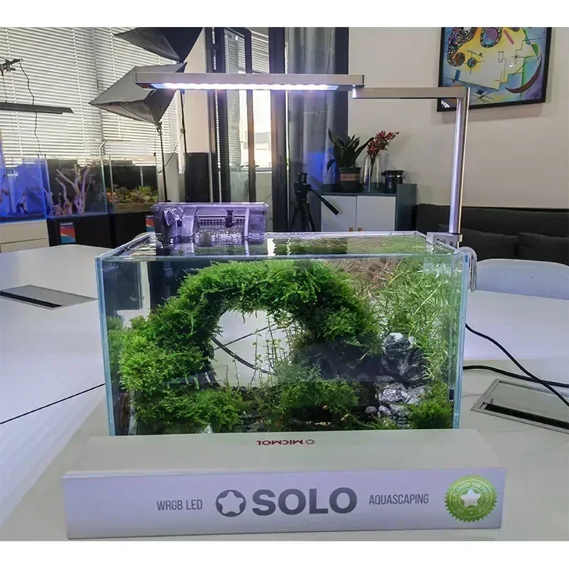 Micmol SOLO APP Controlled Blu - đánh giá và giá Plant Parent App