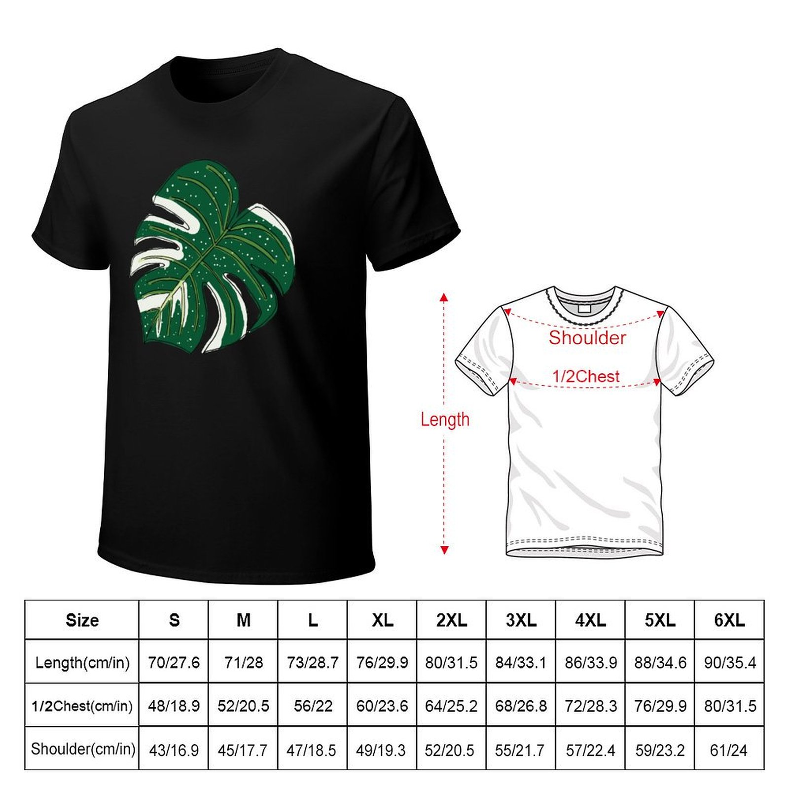 Monstera Thai Constellation T- - đánh giá và giá Monstera Thai Constellation