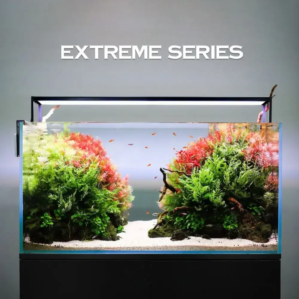MICMOL Extreme Series II Smart - đánh giá và giá Plant Parent App