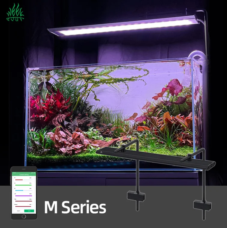 Week Aqua M Series RGB+UV Wate - đánh giá và giá Plant Parent App