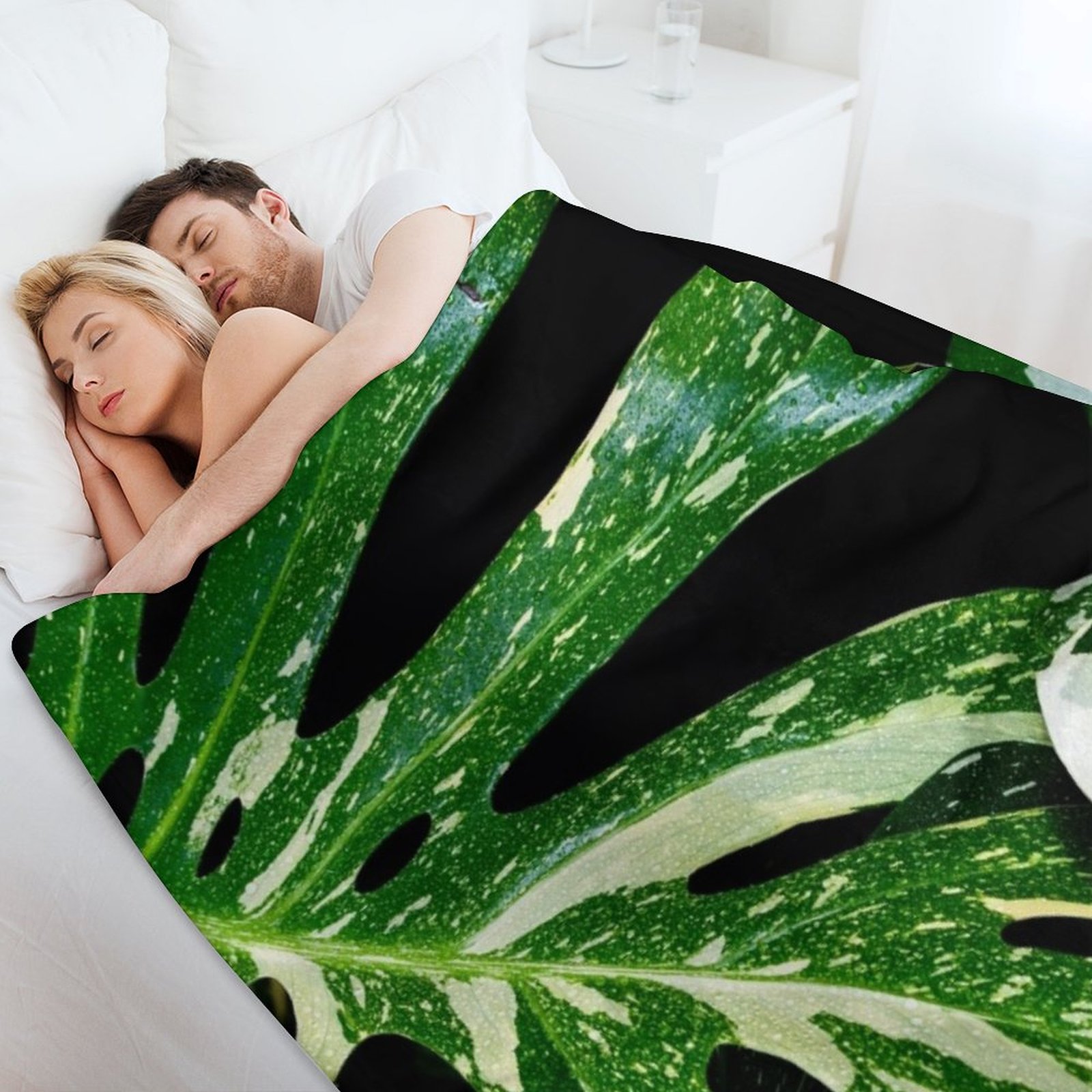 Monstera Thai Constellation Th - đánh giá và giá Monstera Thai Constellation